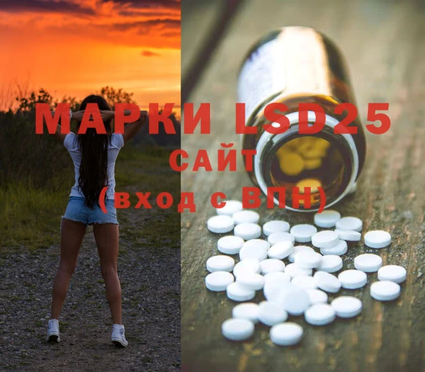 крисы Новодвинск