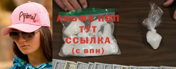 спиды Новозыбков