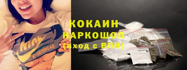 крисы Новодвинск