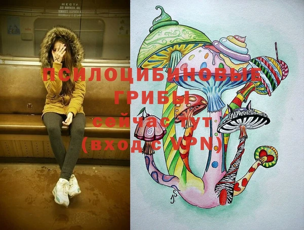 мдма Няндома