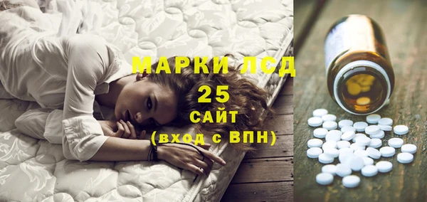 крисы Новодвинск