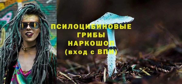 мдма Няндома