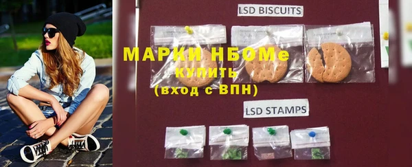 крисы Новодвинск