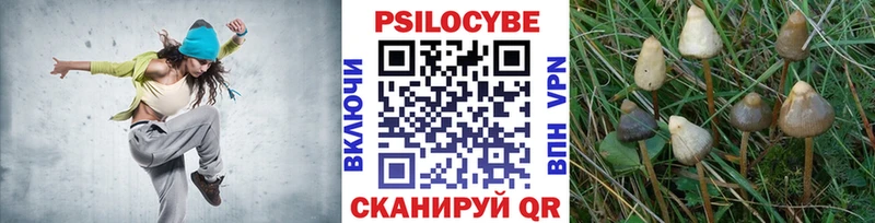 Псилоцибиновые грибы мицелий  наркота  Арск 